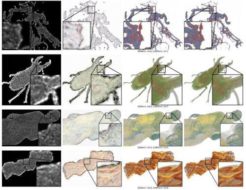 Learning Adaptive Sampling and Reconstruction for Volume Visualization